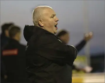  ??  ?? Bray Wanderers manager Graham Kelly.