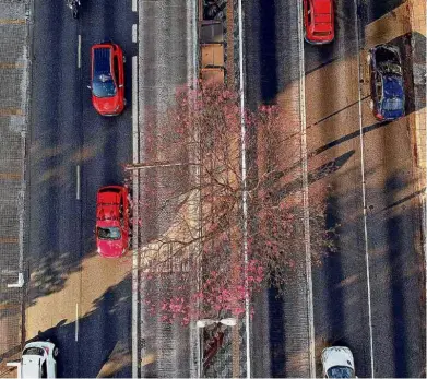  ?? Emiliano Capozoli/Estúdio Folha ?? Vista aérea da avenida Rebouças