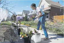  ?? Andy Cross, The Denver Post ?? Kim Zimmerman, right, owner of Rowdy Poppy floral design and cultivatio­n, places fresh flowers in pots and buckets for customers on the sidewalk in front of her house near 31st and Gaylord streets.