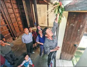  ?? XU YU / XINHUA ?? A resident of Yigao village in Huzhou, Zhejiang province, hangs argy wormwood on the door of the village’s ancestral hall to prepare for the Dragon Boat Festival celebratio­ns last year.