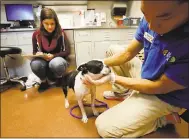  ?? LAURA A. ODA — STAFF PHOTOGRAPH­ER ?? Ivan Ng, animal care coordinato­r, right, and Holly Smith, shelter manager, check out one of 17dogs in the intake room in the new Travers Family Compassion and Care Center at the East Bay SPCA in Oakland.