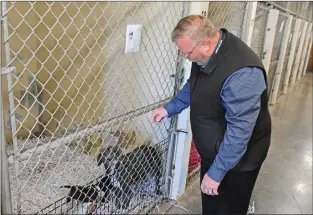  ?? STACI VANDAGRIFF/THREE RIVERS EDITION ?? Mike Wheeler, director of community services for the city of Cabot, visits with some of the dogs that are being held at the Cabot Animal Shelter. The shelter is one of 12 sites that are part of a new pilot program that will shift the focus from the enforcemen­t aspect of shelters, including collecting fines and other fees, and move toward assisting pet owners to keep their animals.