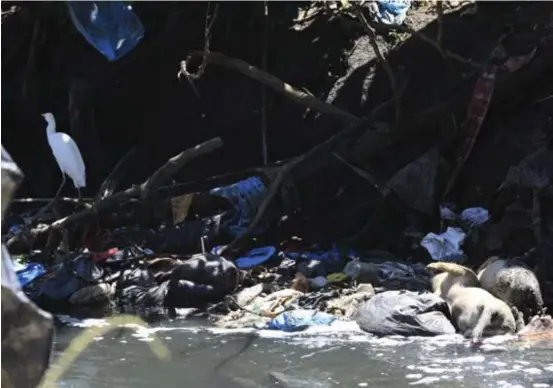  ?? ?? Comunidade do Arco-íris, em Capina do Barreto, no Recife, desconhece o que é acesso a saneamento básico, um dos fatores que determinam a qualidade de vida das pessoas. Na localidade, esgoto escorre pelas ruas