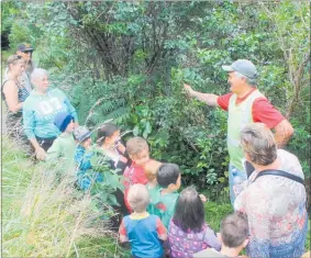  ??  ?? James Kendrick in Coppermine Creek showing Papatawa pupils the Ka¯ ramu leaf used by Ma¯ ori in the past as an antiseptic.