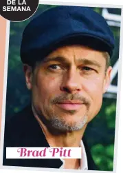  ??  ?? Brad Pitt