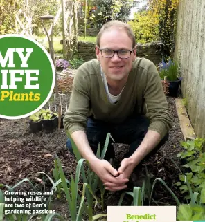  ??  ?? Growing roses and helping wildlife are two of Ben’s gardening passions