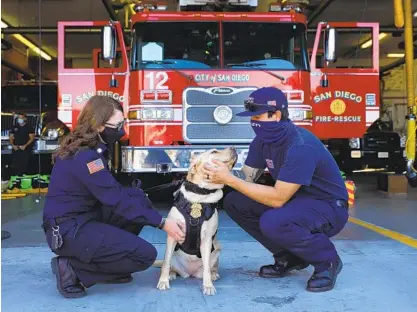  ?? K.C. ALFRED U-T ?? Firefighte­r Shane Farias greets Labrador retriever Genoa as she and San Diego Fire-Rescue Chaplain Betsy Salzman visit Station 12 last week. Genoa is one of three dogs that are part of a new canine program in the San Diego Fire-Rescue Department.
