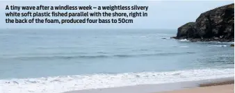  ??  ?? A tiny wave after a windless week – a weightless silvery white soft plastic fished parallel with the shore, right in the back of the foam, produced four bass to 50cm