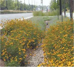  ?? PHOTOS LISE GOBEILLE ?? À Montréal, les deux tiers du réseau des égouts sont unitaires, ce qui implique que les eaux usées sont mêlées aux eaux de ruissellem­ent.