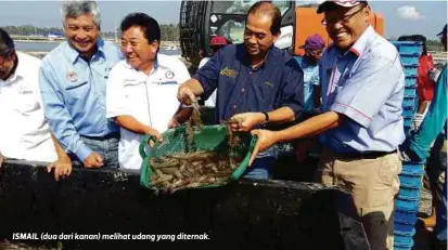  ??  ?? ISMAIL (dua dari kanan) melihat udang yang diternak.