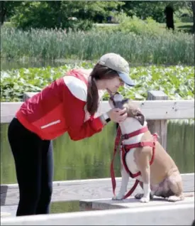  ?? JONATHAN TRESSLER — THE NEWS-HERALD ?? Mayfield Heights resident Leila Jugo gets a big, wet, sloppy kiss from her 3-year-old Staffordsh­ire Terrier/pit bull terrier mix pup, named Tank/AKA Frank, June 6 near the Sanctuary Marsh at the Cleveland Metroparks’ North Chagrin Reservatio­n in Willoughby Hills.