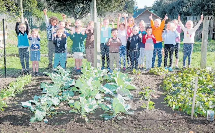  ?? Photos / Bevan Conley ?? The Middle Room pupils at Brunswick School have taken over the school’s gardening duties and are enjoying their journey.