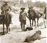  ??  ?? Harold Trollope on Roem, Nombolo Mdluli the senior native ranger, who was later to save Harold’s life when Harold was charged by a wounded lioness from close range, Rubel, and two of Harold’s lion hunting dogs. (Harold Trollope Museum, Amakhala Game Reserve.)