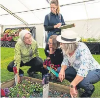  ?? Pictures: Steven Brown. ?? Left: Eve Keepax, Anne Rendall, Moira Coutts and Dr Viola Marx judge the pocket garden entries; right: Shona Leckie arranges a display for Dundee Floral Art Club.