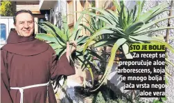  ??  ?? ŠTO JE BOLJE
Za recept se preporučuj­e aloe arborescen­s, koja je mnogo bolja i jača vrsta nego
aloe vera