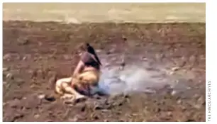  ?? ?? RAMPYARI BAI, the tribal woman who was set on fire over a land dispute in Madhya Pradesh’s Guna district on July 2. She died on July 8. (A video grab.)