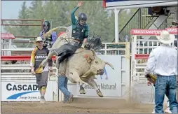  ?? NEWS FILE PHOTO ?? Idaho’s Thor Hoeffer rides Late Night Host in the bull riding event in 2019 at the Medicine Hat Exhibition and Stampede rodeo. The local Stampede is one group that will look into provincial relief that was announced late last month.