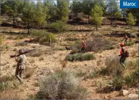  ??  ?? À trois heures de vol de Paris, le royaume chérifien offre nombre de possibilit­és de chasse. Le hajal (perdreau) tient une place de choix, en battue ou devant soi.