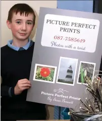  ??  ?? Seán Bennett from Ramsgrange Community School, winner of the Intermedia­te Section and Best Report combined Junior and Intermedia­te with his project Picture Perfect Prints.