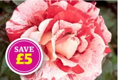  ?? ?? SAVE £5