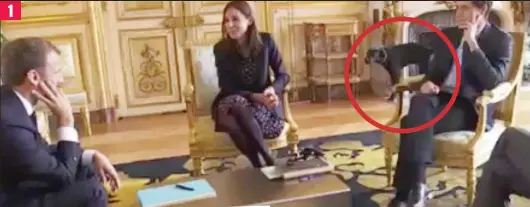  ??  ?? Caught short: Mr Macron, left, watches the dog (circled)