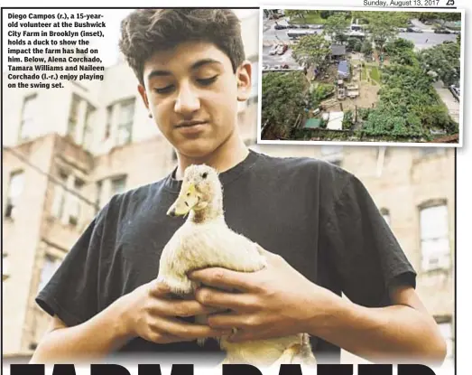  ??  ?? Terence Cullen Diego Campos (r.), a 15-yearold volunteer at the Bushwick City Farm in Brooklyn (inset), holds a duck to show the impact the farm has had on him. Below, Alena Corchado, Tamara Williams and Naileen Corchado (l.-r.) enjoy playing on the...