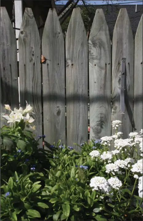  ?? Submitted photo ?? IMPROVE PRIVACY: Fencing and well-placed plantings can improve privacy for homeowners who desire it.