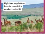  ??  ?? High deer population­s have increased tick numbers in the UK