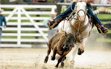  ?? PHOTO: CHRISTEL YARDLEY/STUFF ?? Rodeos are favourite pastime in some rural communitie­s and the Government will not be looking to close them down.