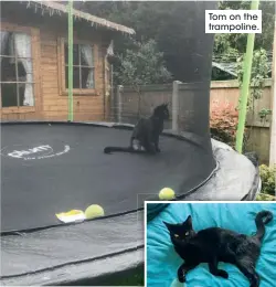  ??  ?? Tom on the trampoline.