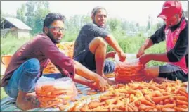  ?? HT PHOTO ?? Bogam, located on the border of Pulwama and Budgam districts, is known as “mini Punjab” for its high-quality vegetables.