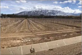  ?? SUSAN MONTOYA BRYAN — THE ASSOCIATED PRESS FILE ?? An empty irrigation canal lines a tree farm in Corrales, N.M., as snow covers the Sandia Mountains in the background.