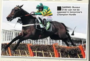  ??  ?? DARING: Buveur D’Air can not be opposed in tomorrow’s Champion Hurdle