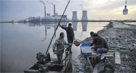 ?? Thomas Peters / Reuters ?? Uns pescadors recullen les captures del dia en un llac situat al costat de la central de producció elèctrica de Tianjin, a la Xina.