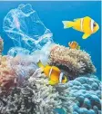  ??  ?? NOT WANTED: Plastic pollution around a coral reef with sea anemones and clownfish.