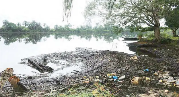  ??  ?? Another farm affected by the pollution