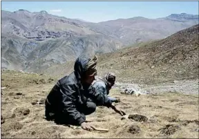  ??  ?? ##JEV#37-134- JEV# Le réchauffem­ent climatique met en péril un champignon de l’Himalaya.