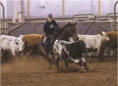  ??  ?? TEAMWORK:
After the wildfires, Donna found that her partnershi­p with Sadie was stronger than ever. Here they are during a team penning event (left) and after a team penning run (below).