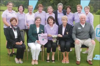  ??  ?? Wexford’s Minor Cup team being presented with the Mid Leinster A.I.G. Ladies’ Minor Cup. Back (from left): Deirdre Colfer, Mary Fallon, Una Robinson, Osnat Manning, Breda Devoy, Marie Byrne (lady President), Therese Glasheen, Maisie Purcell, Denise...