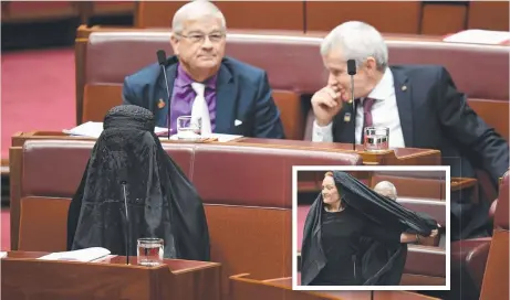  ?? POLITICAL COVER— UP: Senator Pauline Hanson sits in the Senate yesterday wearing a burqa, which she later removed. ??