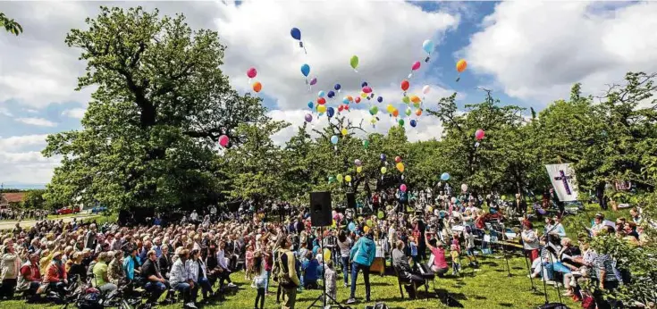  ??  ?? Hunderte Besucher kamen zum Gottesdien­st an die Volkenroda­er Eiche, den Pfarrer und Musiker verschiede­ner Kirchgemei­nden gemeinsam gestaltete­n. Traditione­ll ließen Kinder Dutzende Luftballon­s mit kleinen Namenskärt­chen in die Luft steigen. Auch die...