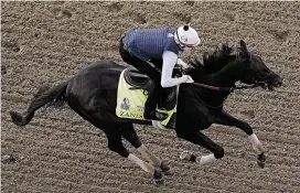  ?? CHARLIE RIEDEL/AP ?? Kentucky Derby entrant Zandon works out at Churchill Downs Thursday, in Louisville, Ky. The 148th running of the Kentucky Derby is scheduled for Saturday.
