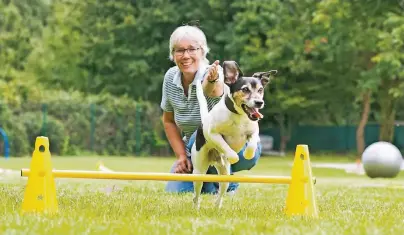  ?? FOTOS (2): SALZ ?? Sylvia Spelsberg hat sich einen Traum erfüllt und eröffnet morgen ihre Hundegrund­schule. Auf dem 2000 Quadratmet­er großen Gelände in Düsseldorf-Hellerhof besteht für die Vierbeiner und ihre Halter ausgiebig Gelegenhei­t, sich sinnvoll zu betätigen.