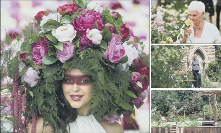  ?? PICTURES: VICTORIA JONES/PA WIRE. ?? FLOWER POWER: Main picture, a model wears a bespoke Peony Floral headdress at the show; right, from top, Dame Judi Dench with a rose named after her; designer Tracy Foster in her Welcome to Yorkshire Garden and Walkers Nurseries’ creation.