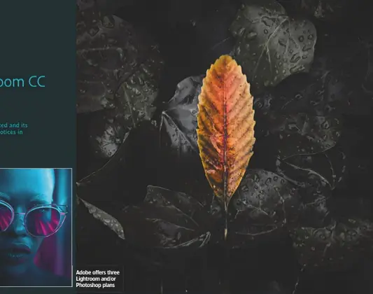  ??  ?? Adobe offers three Lightroom and/or Photoshop plans