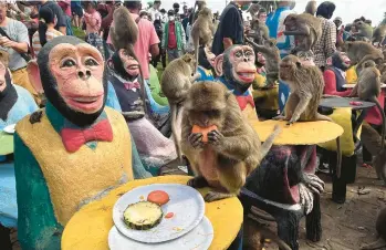  ?? CHALIDA EKVITTHAYA­VECHNUKUL/AP ?? Here they come: Throngs of macaque monkeys enjoy a largely vegetarian meal Sunday at the Monkey Feast Festival in Lopburi province, which is about 95 miles north of Bangkok in central Thailand. The event “helps promote Lopburi’s tourism among internatio­nal tourists every year,” said Yongyuth Kitwatanus­ont, the festival’s founder.