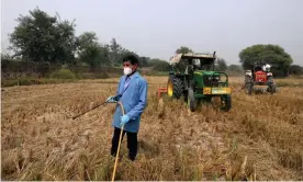  ?? Photograph: Anushree Fadnavis/Reuters ?? A man sprays the newly developed bio-decomposer solution after the harvest. It takes less than a month for the stubble to become fertiliser.