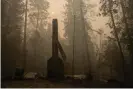  ?? Photograph: Peter Dasilva/EPA ?? The remnants of a property destroyed by the Bear fire, one of the fires that made up the North Complex fire, in Berry Creek, California.