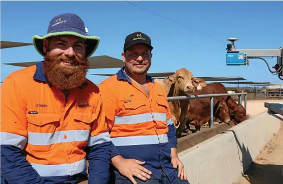  ?? PHOTO: CONTRIBUTE­D ?? BUNK SCAN: Manabotix managing director Dr Stuart McCarthy and senior mechatroni­c engineer Daniel Mcleod with the prototype vehicle-mounted bunk scanner they have developed.