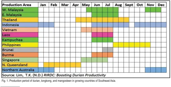  ??  ?? Fig. 1. Production period of durian, longkong, and mangosteen in growing countries of Southeast Asia.